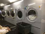 Recent Installation