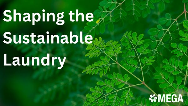 Sustainable Laundry Practices